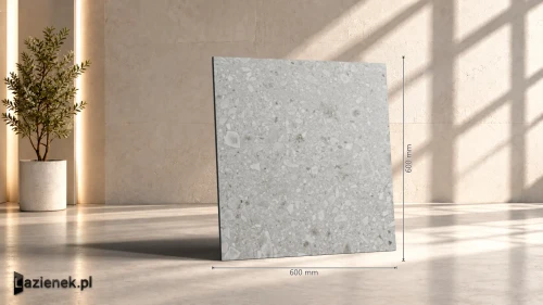Przejdź do produktu Ragno Realstone_Ceppo Beige matowa r 10 60x60 cm gr. 9 mm - płytka rektyfikowana / RCXE