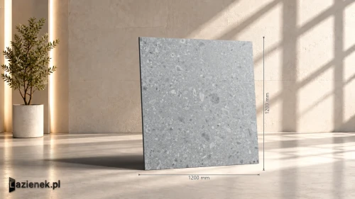 Przejdź do produktu Ragno Realstone_Ceppo Grigio matowa r 10 120x120 cm gr. 9 mm - płytka rektyfikowana / RCWH