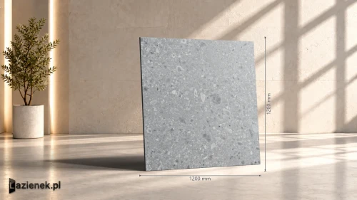 Przejdź do produktu Ragno Realstone_Ceppo Grigio strukturalna 120x120 cm gr. 9 mm - płytka rektyfikowana / RCWS