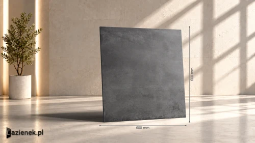 Przejdź do produktu Ragno Replace Antracite C2 matowa r10 60x60 cm gr. 9 mm - płytka rektyfikowana / R5JA
