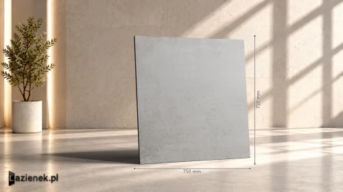 Przejdź do produktu Ragno Replace Grigio matowa 75x75 cm gr. 10 mm - płytka rektyfikowana / R9EM