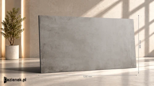 Przejdź do produktu Ragno Replace Tortora matowa 60x120 cm gr. 9 mm - płytka rektyfikowana / R48N