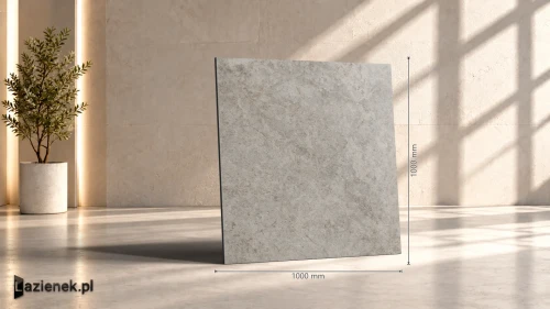 Przejdź do produktu Ragno Richmond Musk matowa 100x100 cm gr. 8,5 mm - płytka rektyfikowana / RALN