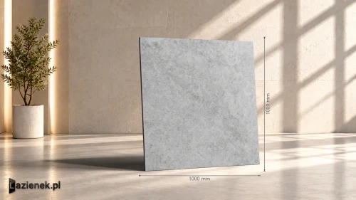 Przejdź do produktu Ragno Richmond Silver matowa 100x100 cm gr. 8,5 mm - płytka rektyfikowana / RALM