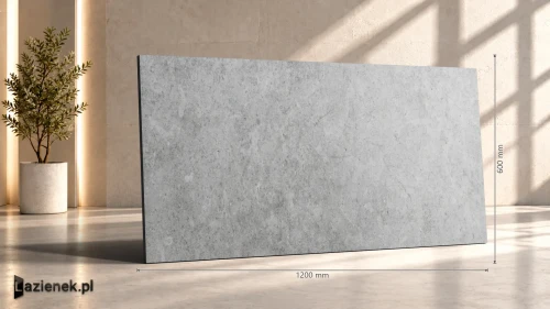 Przejdź do produktu Ragno Richmond Silver C2 matowa r10 60x120 cm gr. 8,5 mm - płytka rektyfikowana / RALT