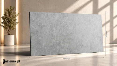 Przejdź do produktu Ragno Richmond Silver matowa 60x120 cm gr. 8,5 mm - płytka rektyfikowana / RAFW