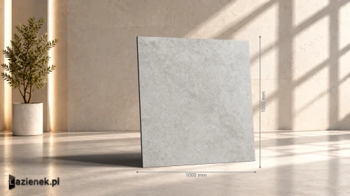 Przejdź do produktu Ragno Richmond Taupe C2 matowa r10 100x100 cm gr. 8,5 mm - płytka rektyfikowana / RAFA