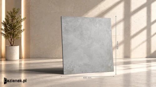 Przejdź do produktu Ragno Roots Grey matowa 60x60 cm gr. 9 mm - płytka rektyfikowana / R8LL