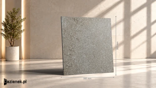 Przejdź do produktu Ragno Stoneway_Porfido Anthracite matowa 30x30 cm gr. 10 mm - płytka nierektyfikowana / R47K