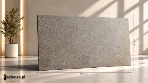 Przejdź do produktu Ragno Stoneway_Porfido Rust strukturalna 30x60 cm gr. 10 mm - płytka rektyfikowana / R47C