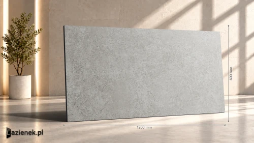 Przejdź do produktu Ragno Tiempo Grigio matowa 60x120 cm gr. 9 mm - płytka rektyfikowana / RCST