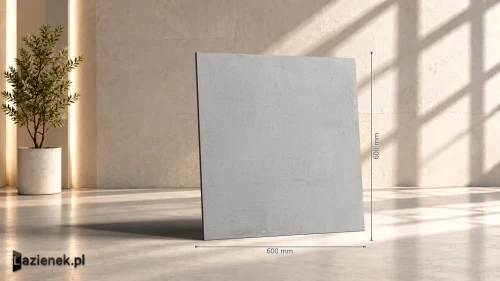 Przejdź do produktu Ragno Replace Grigio matowa 60x60 cm gr. 9 mm - płytka rektyfikowana / R4NT