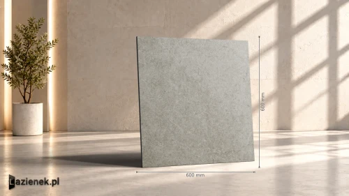 Przejdź do produktu Ragno Realstone_Argent Ghiaccio PTV matowa r10 60x60 cm gr. 10 mm - płytka rektyfikowana / R9KU