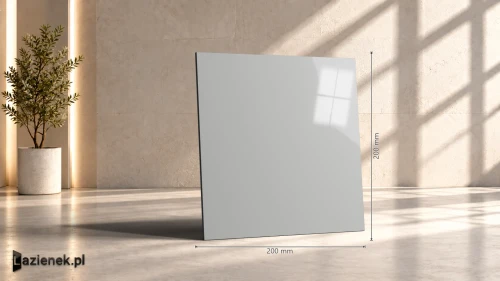 Przejdź do produktu Ragno Unitech Argento błyszcząca 20x20 cm gr. 7 mm - płytka nierektyfikowana / R1PC