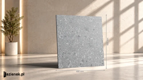 Przejdź do produktu Ragno Realstone_Ceppo Grigio matowa 60x60 cm gr. 9 mm - płytka rektyfikowana / RCX7
