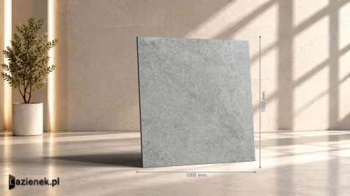 Przejdź do produktu Ragno Richmond Carbon C2 matowa r10 100x100 cm gr. 8,5 mm - płytka rektyfikowana / RAFE