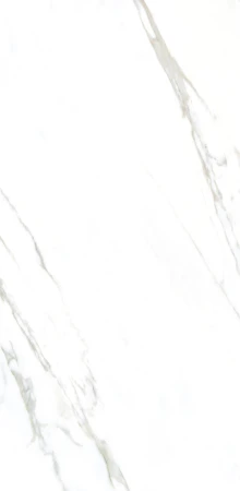 c7bf656e75f92c8ead86f42ddca9141a
