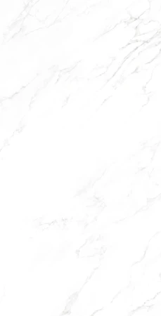 2b26c16c821bbb0e5a1ab6ec2c41eed9