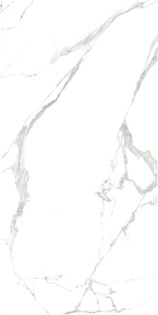 AVA_Marmi_Statuario Splendente Farfalla B_120x240.www.lazienek.pl.webp