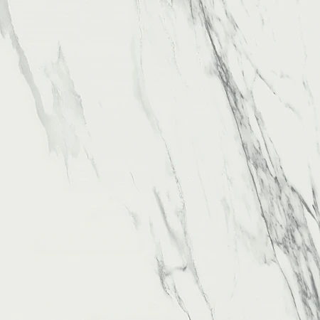 6f924d49ed9bb626588feeff635f5f00