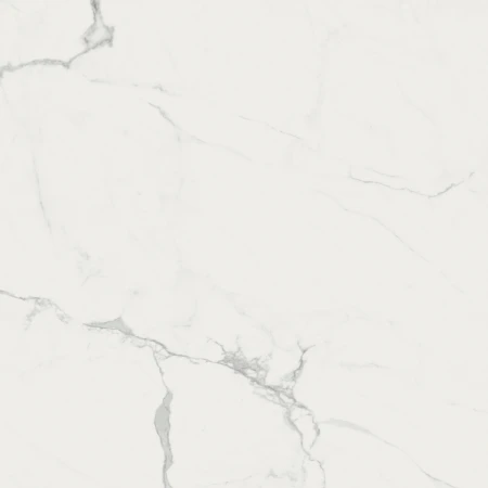 a19313ce6d9a537871bad65f5d1af1d2