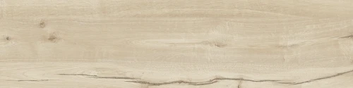 Przejdź do produktu Ragno Woodtale Betulla 30X120 cm rekt.*