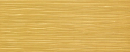 cd380ebe5e52cc9d5063b9c5c02628fe