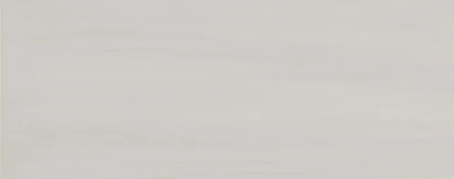 Przejdź do produktu Ragno Land Grey 20X50 cm