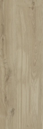 19eea86281815a3f51804585fda5679c