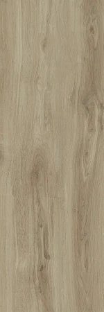 4af6da2e820b34c2f4e66fe566064023