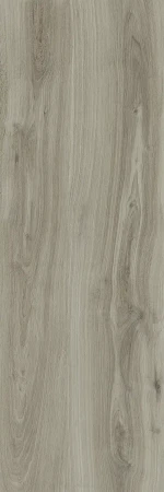 f50ab9792ba91399dcc8063c1eeeb889