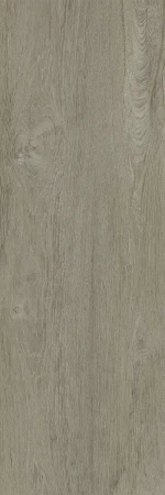 6bd5367790b8ef14bfec7cdb5e7de025