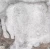 d23c8559ef9243eb817fc0d3cc9feafc