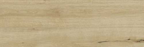 Przejdź do produktu Ragno Ragno Woodtale Miele 40x120 cm 20mm ZAPYTAJ O SZCZEGÓŁY BO WARTO...TEL. 665 008 208