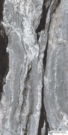 45529.