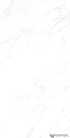 45613.