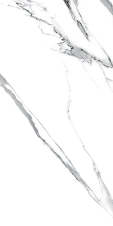46243.