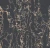 45771.