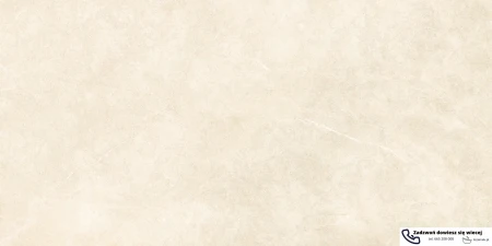 53913.
