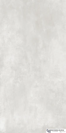 45481.