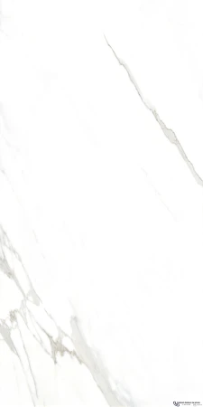 45587.