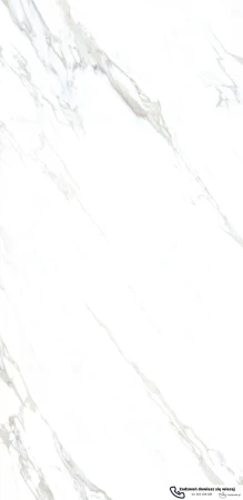 45593.