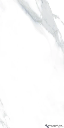 45598.