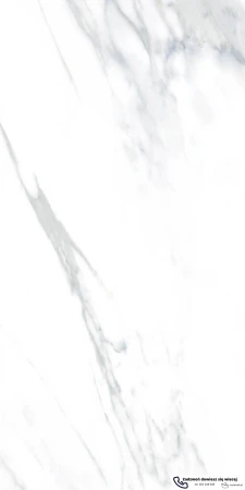 45599.