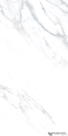 45601.