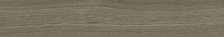 55481.