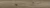 55506.