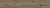 55509.