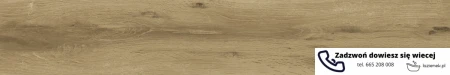 55518.