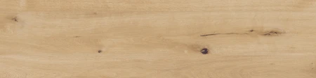 55536.